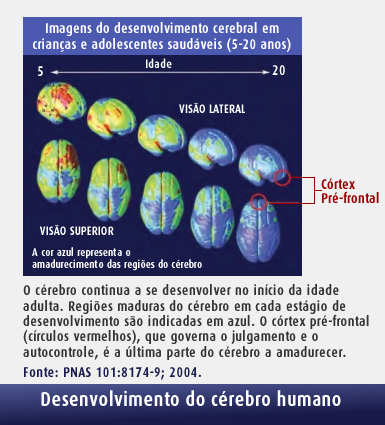 Desenvolvimento cerebral SPRS