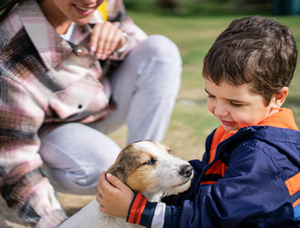 crian&ccedil;as e pets SPRS